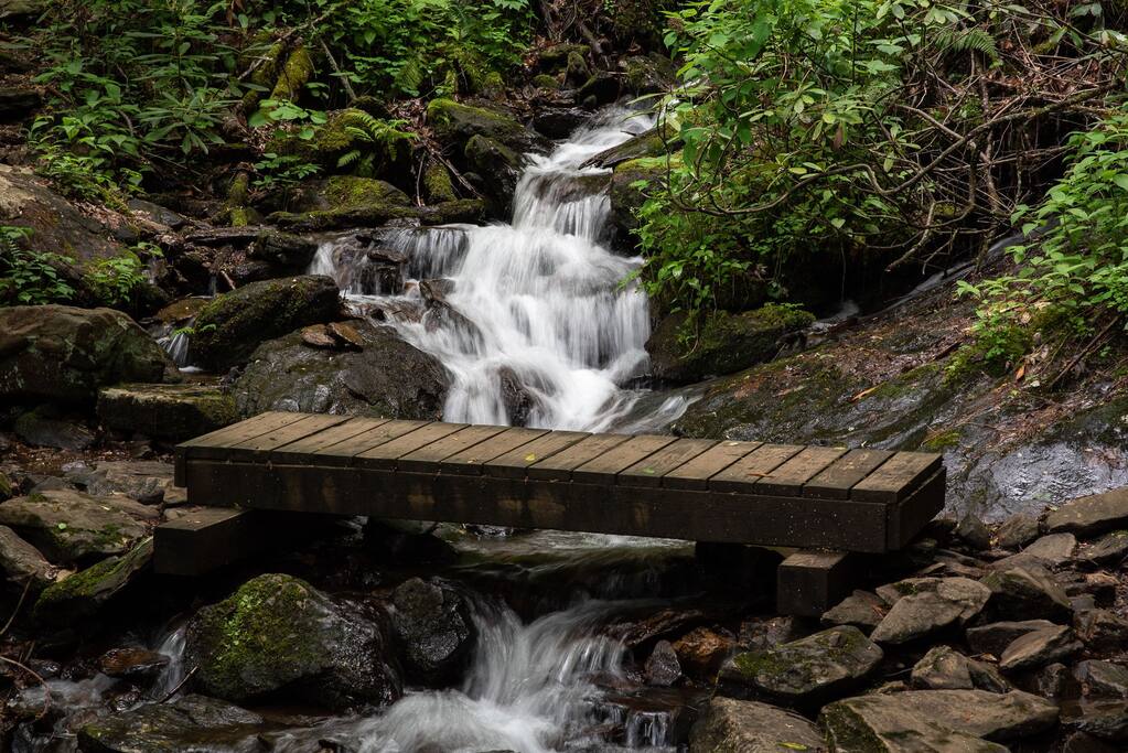 Creekside Basecamp
