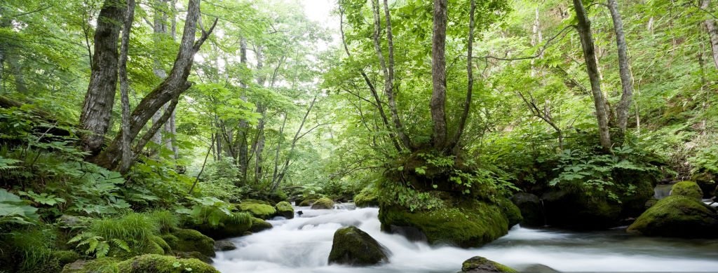 Creekside Waterview